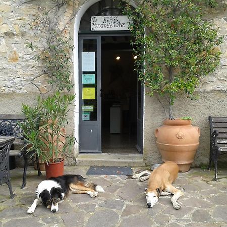 Agriturismo San Ottaviano Monterotondo (Tuscany) Exterior foto