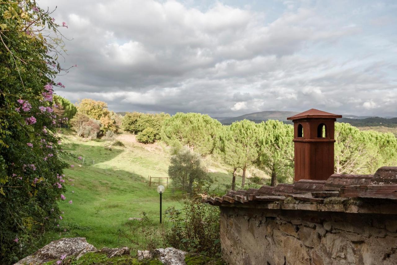 Agriturismo San Ottaviano Monterotondo (Tuscany) Exterior foto