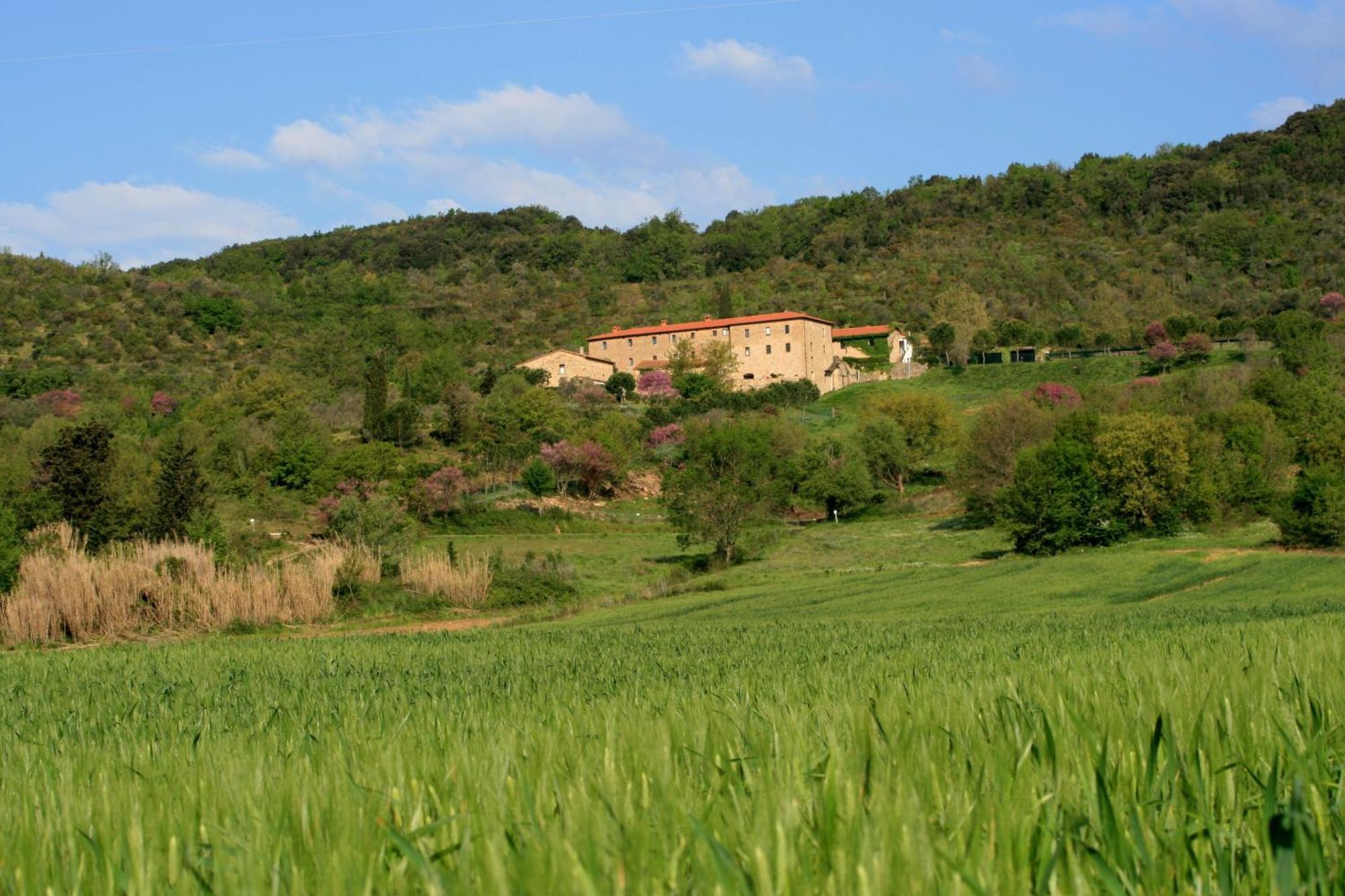Agriturismo San Ottaviano Monterotondo (Tuscany) Exterior foto